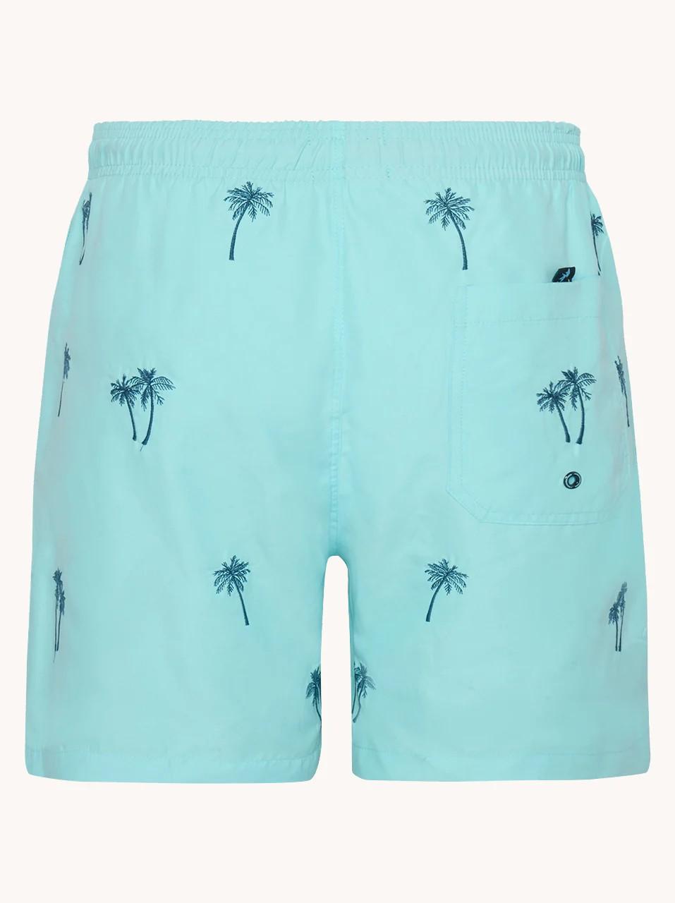 31.250/SWIMSHORT PALM TREE