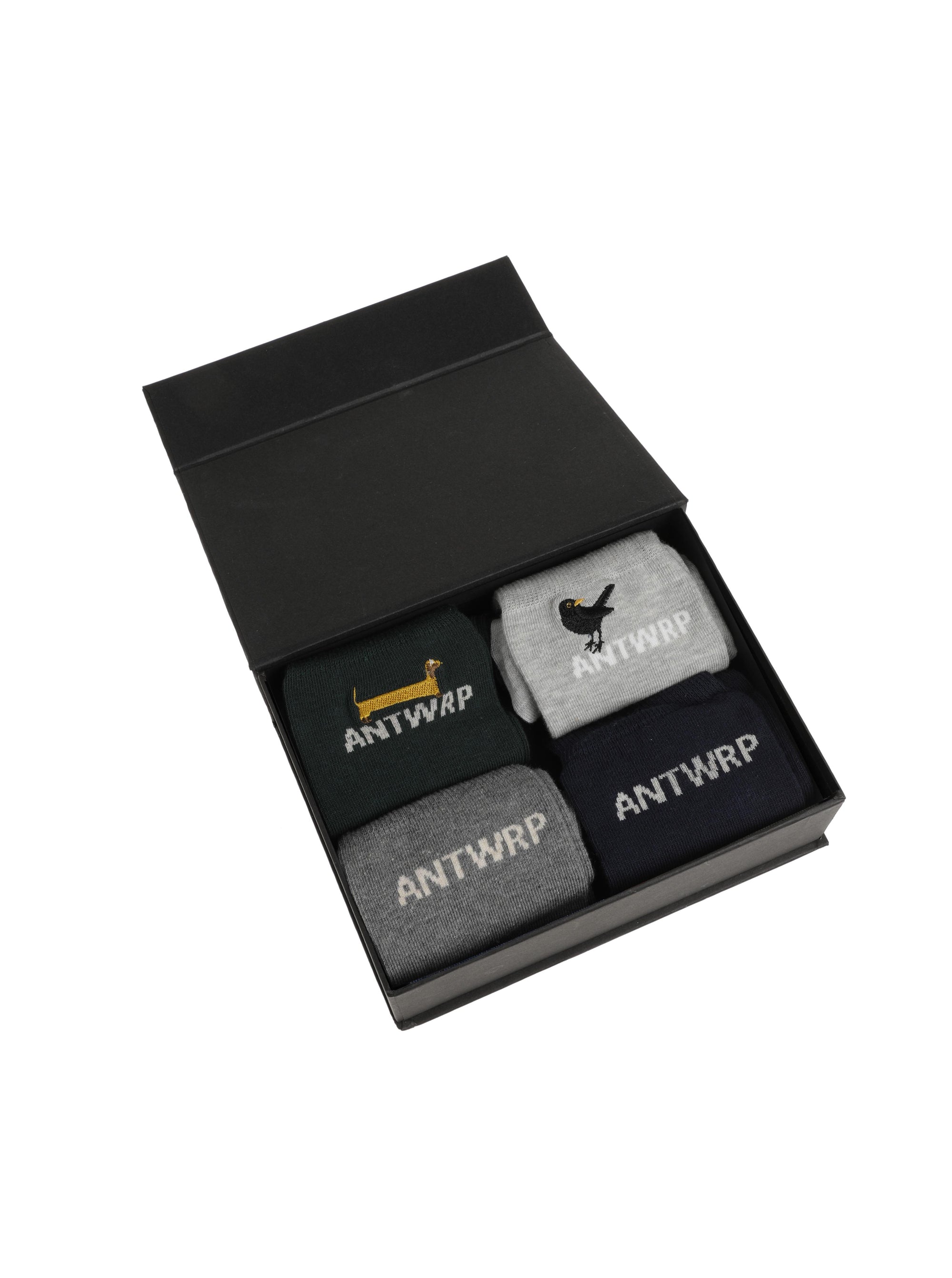 Antwrp