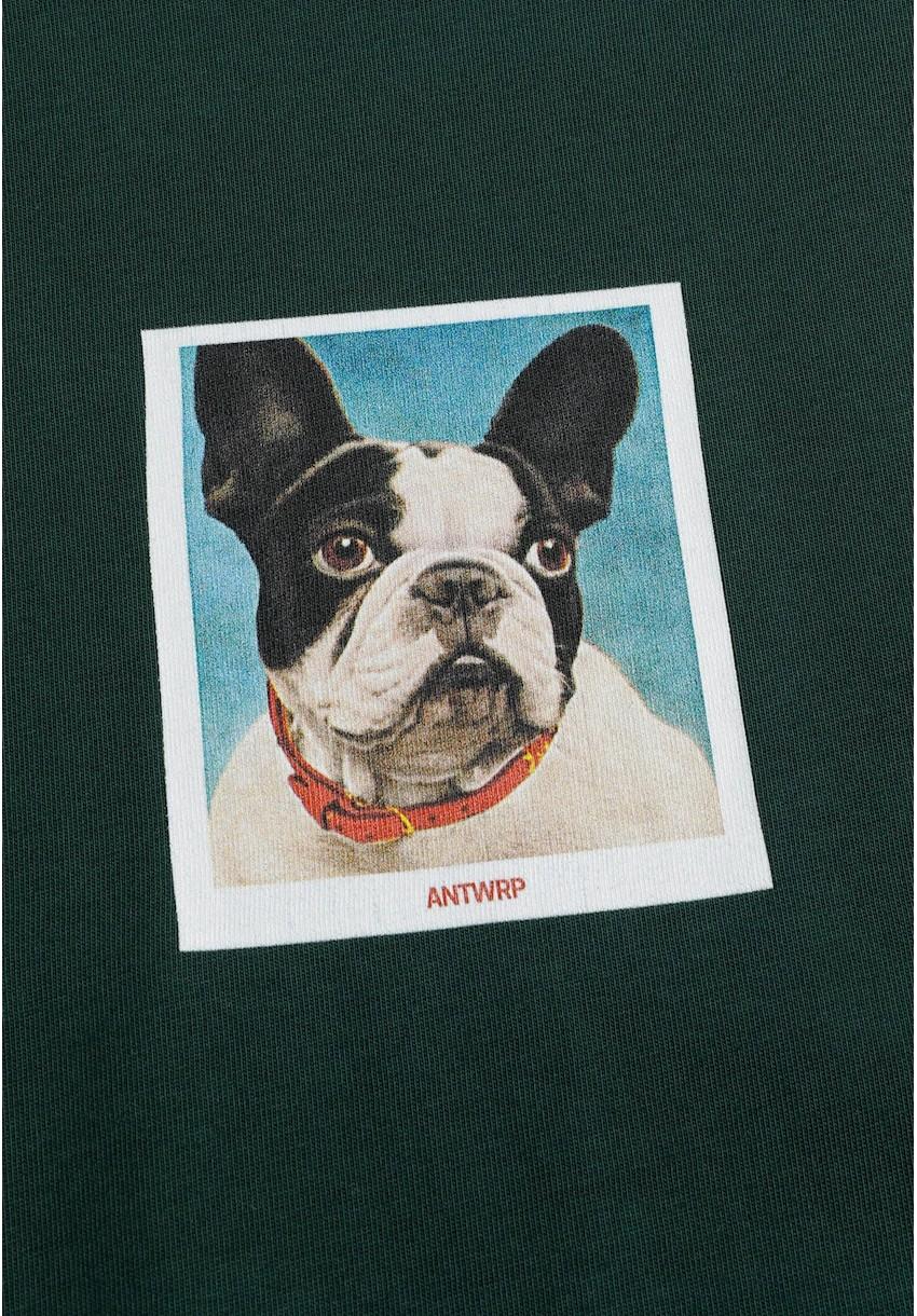 Antwrp