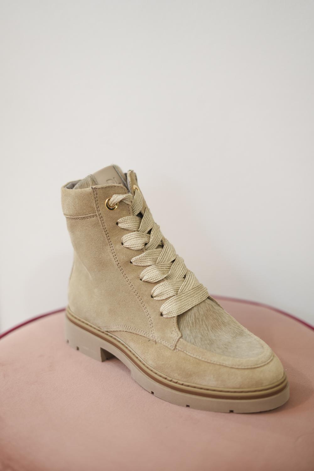 6768/VERSIONE 08/934/GRAN TALP