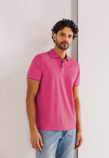 Polo - State of Art