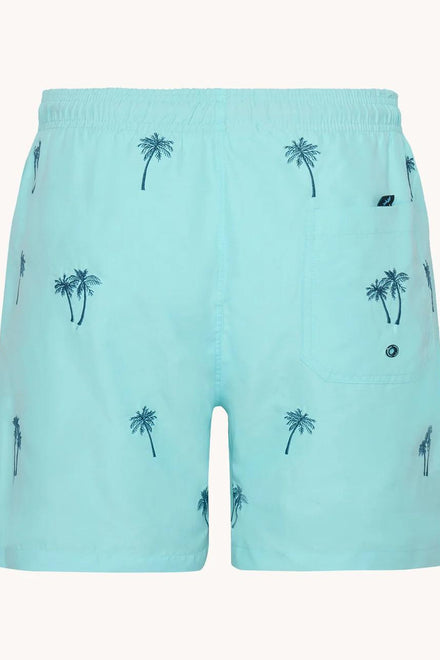 31.250/SWIMSHORT PALM TREE