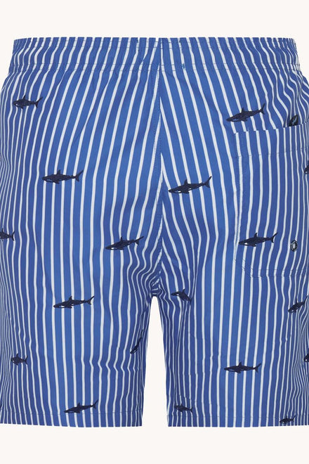 31.251/SWIMSHORT SHARK