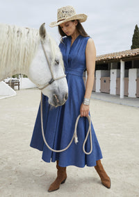 BLUE iV 