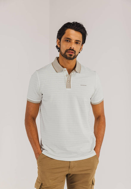 Polo - State of Art