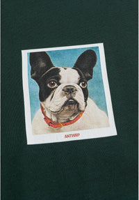 Antwrp 