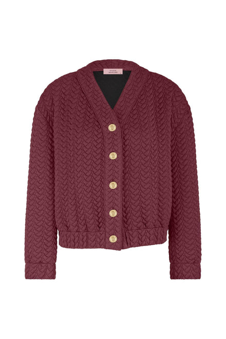Gilet/Cardigan - Studio Anneloes