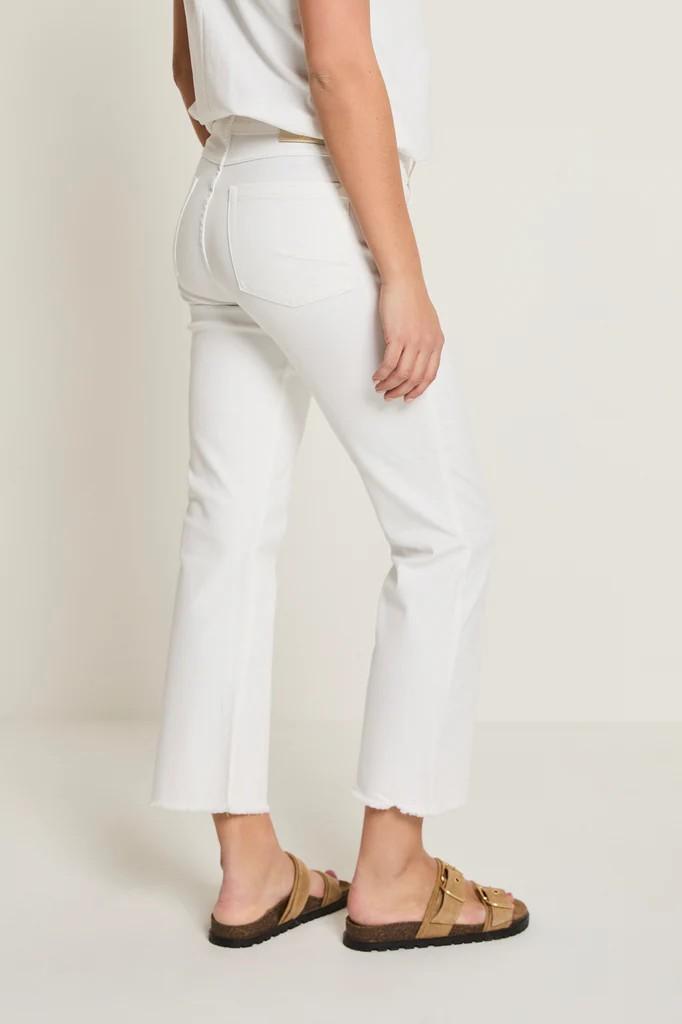 MILA/SS261.005337 (MINIFLARE)