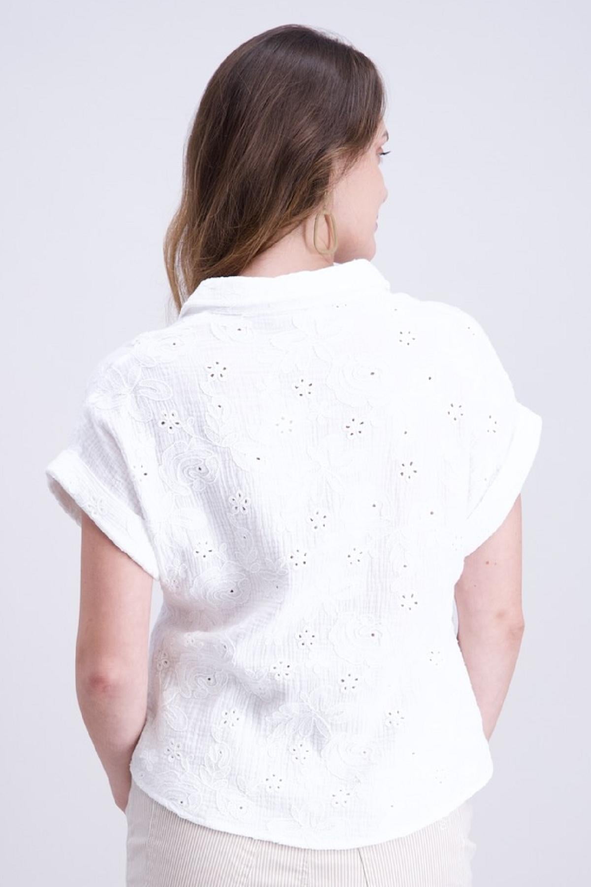 Signe Nature 