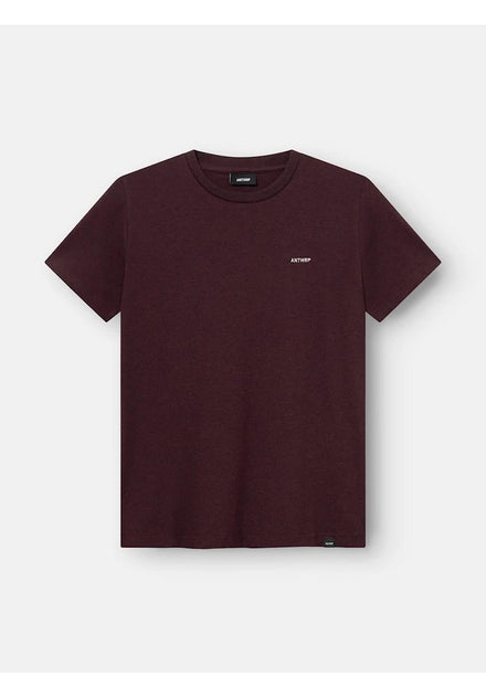 T-shirt - Antwrp
