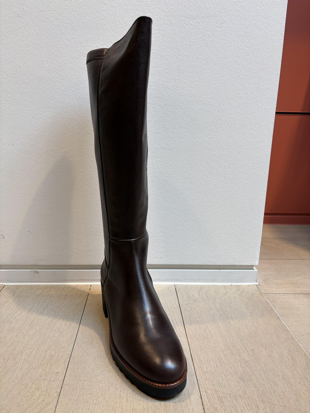 7246/VERSIONE 03